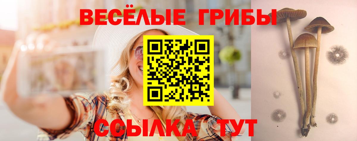 Галлюциногенные грибы мицелий  Вход с VPN  Псилоцибиновые грибы мицелий  Великие Луки 